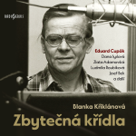 Obrázek podcastu Zbytečná křídla