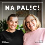 Obrázek podcastu NA PALICI