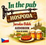 Obrázek podcastu IN THE PUB
