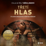 Obrázek podcastu Třetí hlas