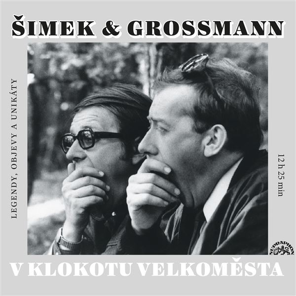 Obrázek podcastu V klokotu velkoměsta