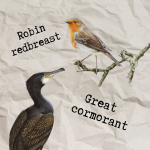 Obrázek podcastu Kormorán