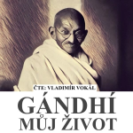 Obrázek podcastu Můj život