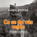 Obrázek podcastu Co se do vás vejde
