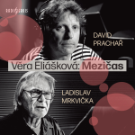 Obrázek podcastu Mezičas