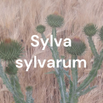 Obrázek podcastu Sylva sylvarum