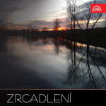 Obrázek podcastu Zrcadlení