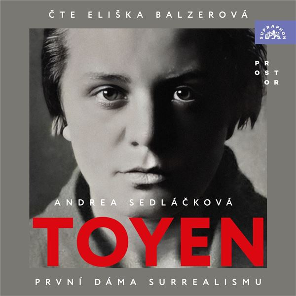 Obrázek podcastu Toyen