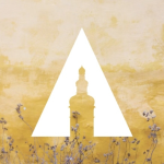 Obrázek podcastu ELEVATE