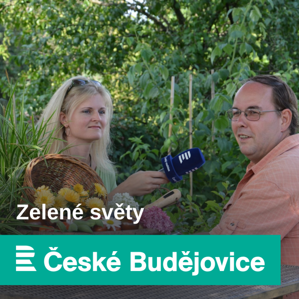 Obrázek epizody Moderní architektura v zahradě