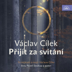 Obrázek podcastu Přijít za svítání