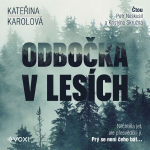 Obrázek podcastu Odbočka v lesích