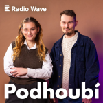 Obrázek podcastu Podhoubí