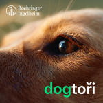 Obrázek podcastu Dogtoři - pro kočky, koně a psy