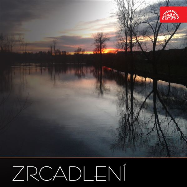 Obrázek podcastu Zrcadlení