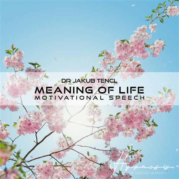 Obrázek podcastu Meaning of Life