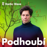 Obrázek podcastu Podhoubí