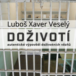 Obrázek podcastu Doživotí
