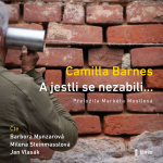 Obrázek podcastu A jestli se nezabili…