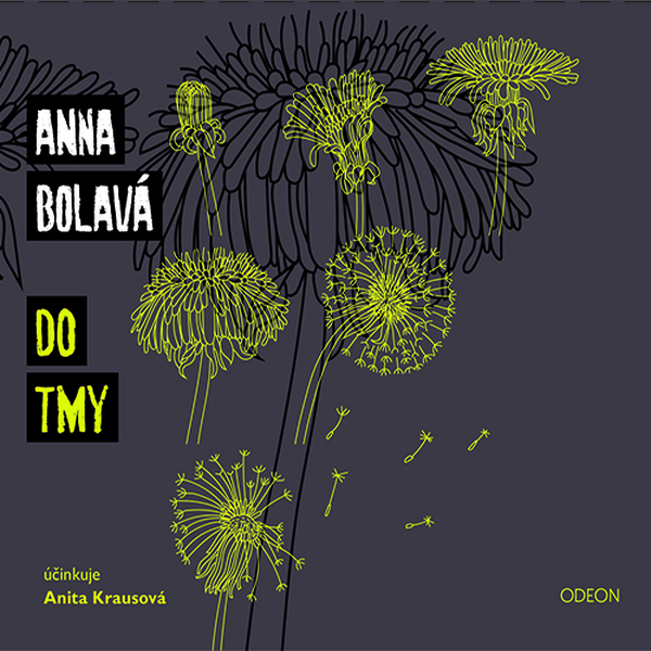 Obrázek podcastu Do tmy