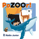 Obrázek podcastu PoZOOR!