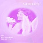 Obrázek podcastu Meditace 1