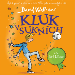 Obrázek podcastu Kluk v sukních