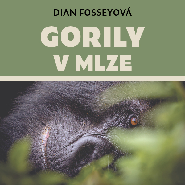 Obrázek podcastu Gorily v mlze