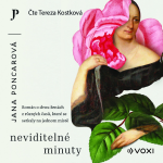 Obrázek podcastu Neviditelné minuty