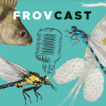 Obrázek podcastu FROVcast - Voda na Váš mlýn