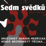 Obrázek podcastu Sedm svědků