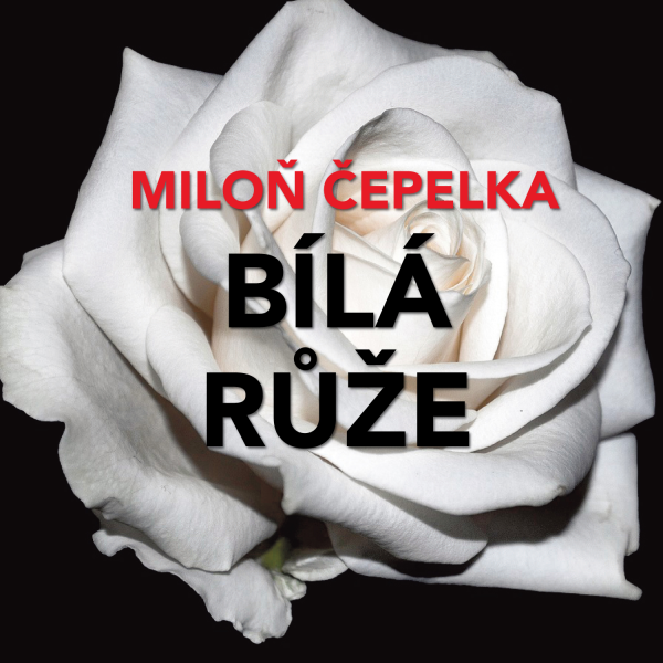 Obrázek podcastu Bílá růže