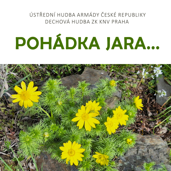 Obrázek podcastu Pohádka jara...