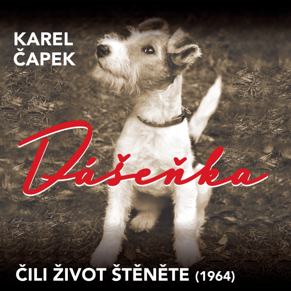Obrázek podcastu Dášeňka čili život štěněte (1964)