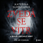 Obrázek podcastu Zvedá se vítr