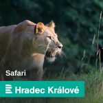 Obrázek podcastu Safari