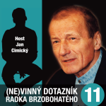 Obrázek podcastu (Ne)vinný dotazník Radka Brzobohatého 5.