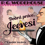 Obrázek podcastu Dobrá práce, Jeevesi