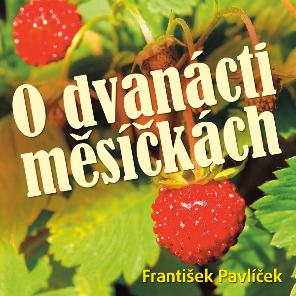 Obrázek podcastu O dvanácti měsíčkách