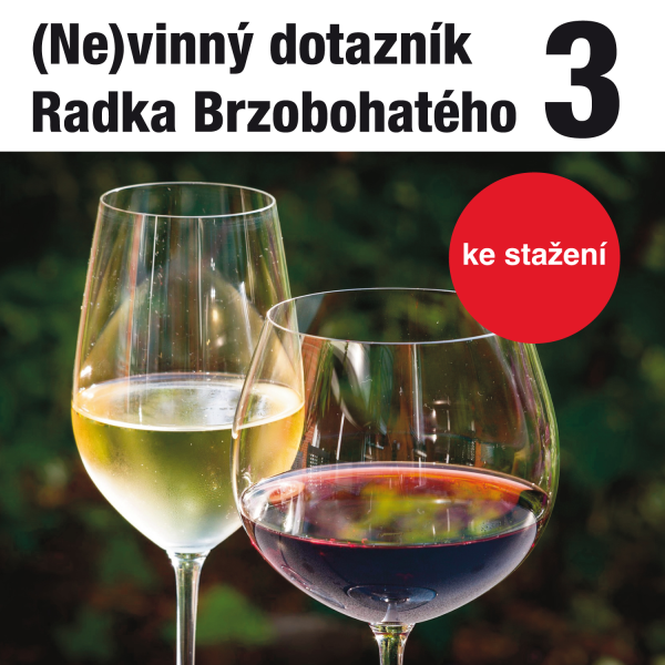 Obrázek podcastu (Ne)vinný dotazník Radka Brzobohatého 3.