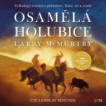 Obrázek podcastu Osamělá holubice