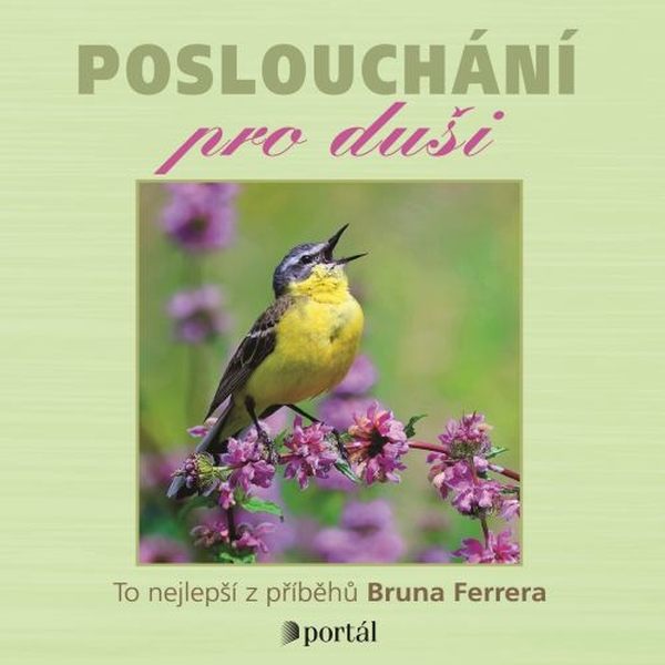 Obrázek podcastu Poslouchání pro duši