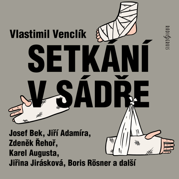 Obrázek podcastu Setkání v sádře