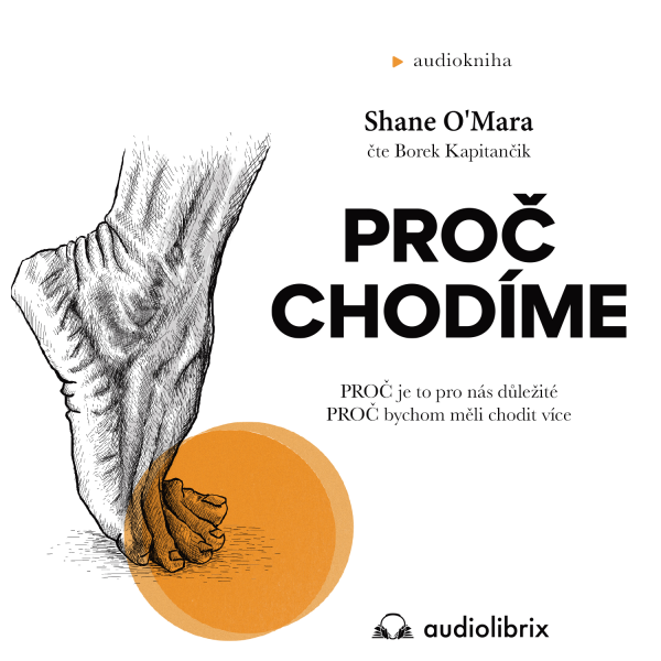 Obrázek podcastu Proč chodíme