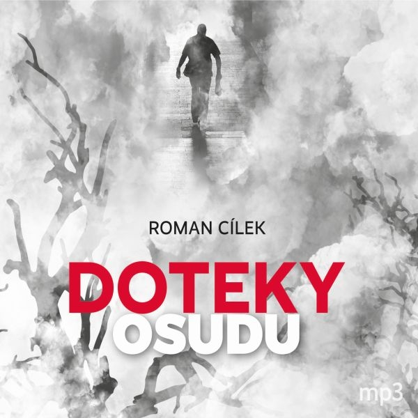 Obrázek podcastu Doteky osudu