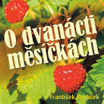 Obrázek podcastu O dvanácti měsíčkách