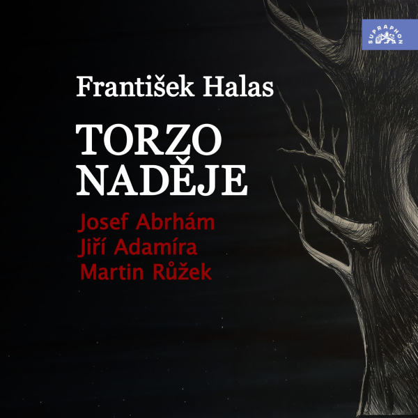 Obrázek podcastu Torzo naděje