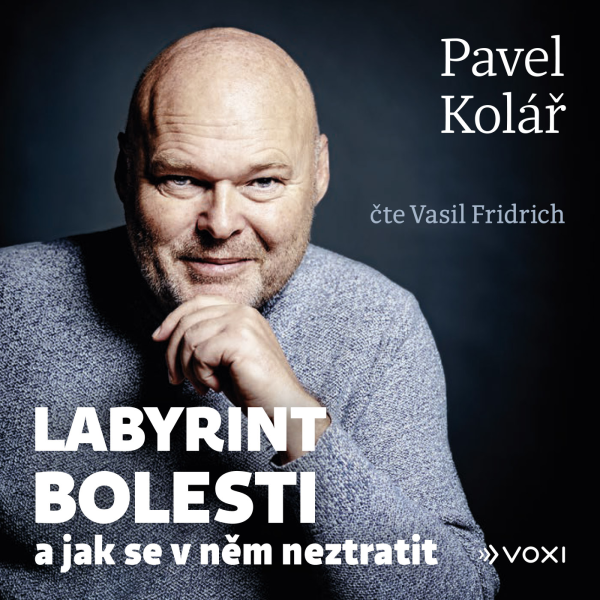 Obrázek podcastu Labyrint bolesti