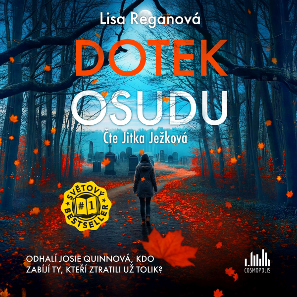 Obrázek podcastu Dotek osudu