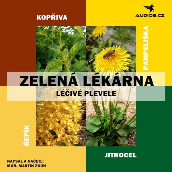 Obrázek podcastu Léčivé plevely